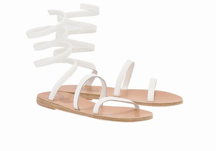 Sandales De Gladiateur Ancient Greek Sandals Ofis   | PEZ-4853396